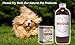 Dog Shampoo Bar, Anti-Bacterial, Anti-Fungal, Organic. Relieves Hot Spots and Itching. Bentonite, Neem Oil and Shea Butter. Organic, 5.8 oz. GRRR Brand