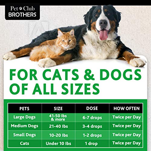 Hemp Oil for Dogs & Cats 300,000 - Premium Hemp Seed Oil - Grown & Made in USA - Supports Hip & Joint Health - Natural Stress & Anxiety Relief - Pet Omega 3, 6 & 9-1 fl oz (30ml)