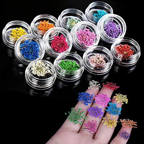 48pcs Nail Art Stickers & Decals Kit - Nail Dried Flowers Stickers, Colorful Nail Paillette Chip Foil Glitter, Ice Mylar Shell Foil Slice,Mixed Nail Diamonds with a Tweezer and a Nail Brush