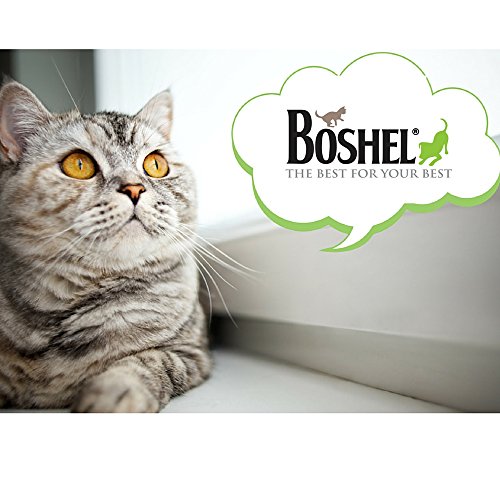 Dematting Dog Comb By Boshel - Pet Grooming Comb Gently Removes Loose Undercoat, Mats, Tangles and Knots for Dogs and Cats Of All Sizes - Double-sided comb - Sharp Yet Safe Rounded Blades.