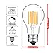 gezee 10W Edison Style Vintage LED Filament Light Bulb, 100W Incandescent Replacement,Warm White 2700K,1000LM, E26 Medium Base Lamp, A19(A60) Antique Shape, Clear Glass Cover,Dimmable（3-Pack）