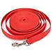 20FT/6M Long Leash Dog Obedience Recall Training Agility Lead for Training Play Camping or Backyard (Red)