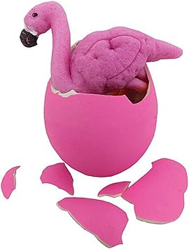 Wachsender Flamingo Im Ei Amazon De Spielzeug