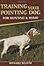 Training Your Pointing Dog for Hunting & Home