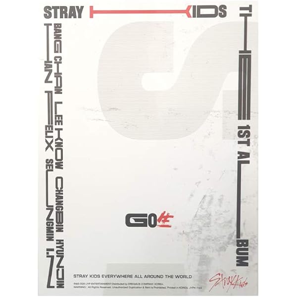 straykids GO生　限定盤 Stray Kids｜初の韓国フルアルバム『GO生』限定盤 - TOWER RECORDS ONLINE