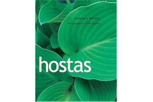 Hostas