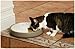 Lentek Automatic Pet Feeder, Programmable Five Meal Pet Food Dispenser, Wet or Dry Food, with Voice Recorder and Speaker, for Dogs, Cats, Rabbits, and More, 25 oz Capacity