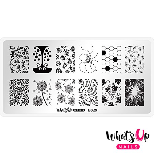 Whats Up NailsB029 Picnic in the Park Stamping Plate for Nail Art Design