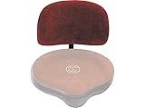 ROC-N-SOC Back Rest for Spindle and Nitro Rider