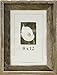 Frame USA Barnwood Series 8x12 Picture Frames - Made with Real Reclaimed Wood