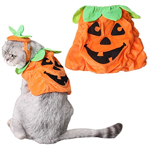 Legendog Cat Apparel Pumpkin Design Funny Pet Clothing Cat Halloween Costume with Pumpkin Headwear