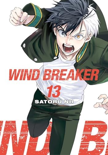 Amazon.com: WIND BREAKER Vol. 14 eBook : Nii, Satoru, Nii, Satoru