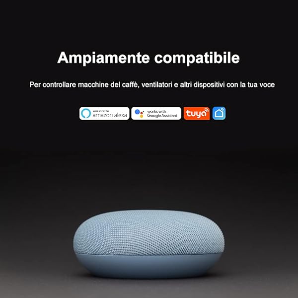 Enchufe Aexa con enchufe inteligente con enchufe italiano compatible con dispositivos Google Home Alexa Amazon Home App Smart Life toma wifi mando a distancia enchufe inteligente para casa