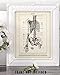 Medical Book Skeleton Torso - 11x14 Unframed Art Print - Great Gift For Nurse, Doctor and Medical Student and Home and Office Decor Under $15