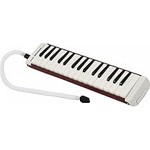 Suzuki B-24 Bass Melodion : Amazon.ca: Musical Instruments