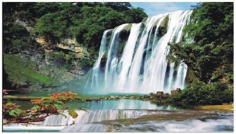 3d effect BIG 23.5" x 31.5" Lenticular / Poster Stereoscopic Print Paint Plastic Picture - water fall red flower