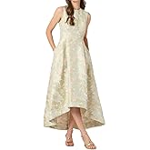 Shoshanna Women's Midnight Champagne Floral Jacquard Daniela Dress