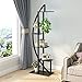 Tribesigns 5-Tier Plant Stand Pack of 2, Multi-Purpose Curved Display Shelf Bonsai Flower Plant Stand Rack for Garden, Patio, or Balcony, Indoor and Outdoor Usethumb 1