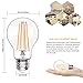 Boncoo Vintage LED Edison Bulb Dimmable 6W A19 LED Light Bulbs 2700K Soft White 600LM Led Filament Bulb 60W Incandescent Equivalent E26 Medium Base Decorative Clear Glass 6 Pack