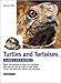 Turtles and Tortoises (Family Pet Series) by 