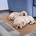 Melliwish Dog Walker Electronic Dog Training Device Vibration Training Dog Remote Control Dog Training Device Correcting Bad Habits of Dogs Washable Dog Pee Pads - 2 Pack Puppy Pads (Blue)