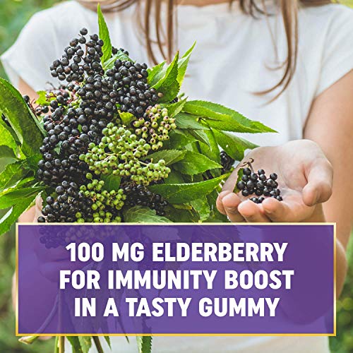 True Recovery Immune Support Elderberry Gummies with Vitamin C and Zinc - Immune System Booster - Antioxidant Flavonoids, Black Elderberry for Adults and Kids in 60 Delicious Gummies