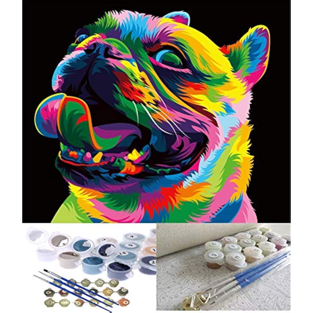 Color PaintByNumber Kits Paint Acrylic Painting DIY Oil By Numbers For