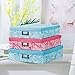 SLPR Decorative Boxes with Lid (Set of 3, Coral and Blue): Pretty Organizing Storage, Blue and Pink Photo Storage Boxes, Nesting Office Storage, Medium Décor Paperboard Memories Keepsake Boxes