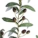 SUPLA 5 Pack Artificial Olive Branch Spray Plants Houseplant Olives Fruit Plants Greenery UV Resistant Plants 28.3