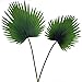 Supla 2 Pcs 2 Size Faux Palm LeavesTropical Leaves Artificial Palm Spray in Green Artificial Greenery for Floral Arrangement
