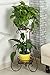 AISHN Metal Plant Stand 2-Tiered Potted，Supports Floor Flower Pot Round Rack Display，Perfect For Home, Garden, Patio, Outdoor Indoor