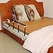 Bed Rail Safety Guard for Toddler, Elderly,Seniors, Adults, Kids Folding Bed Assist Handle Hospital Railing Bumper Bar (Light Dark Red)