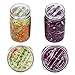 Aozita 4-Pack Glass Fermentation Weights - Fermenting Weights with Grooved Handle - Fits Any Wide Mouth Mason Jar