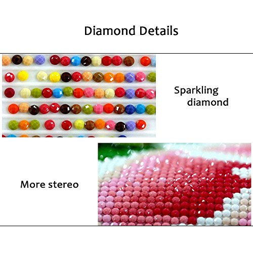 DIY 5D Diamond Painting by Number Kits Crystal Rhinestone Diamond