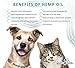 Hemp Oil for Dogs, Cats, & Small Pets Relief from Arthritis, Joint Pain, Allergies, Muscle Spasms, Calms Pet Anxiety, Safe and Easy to Use, All-Natural, Non-Toxic, Grown in the USA, 250 mg, 1 oz