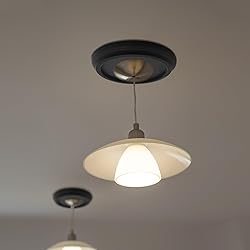 Tsnamay 2Pairs Black Ceiling Medallion Ceiling Fan
