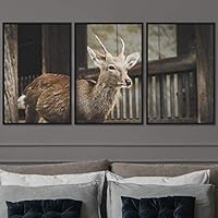 3 Piece Framed Canvas Wall Art Deer in The Wild Animals Deer Canvas Prints Home Artwork Decoration for Living Room,Bedroom - 16