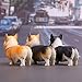 Kimkoala Cute Corgi Dog Figures, 3Pcs Small Lovely Resin Corgi Puppy Toys Model Miniature Figurines for Home Office Desk Car Decoration Ornaments and Kids Gift Brown