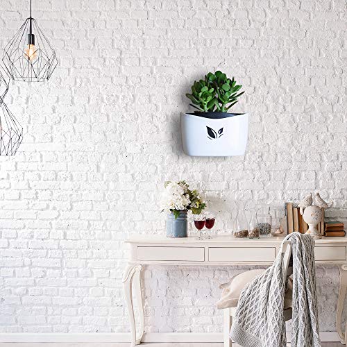 Wall Mounted Planter Pots for Herbs, Flowers | Succulent Planter Pots | no Drills, no Screws, no Hanging | Succulent Wall Planter | Self Watering, Low Maintenance (White)