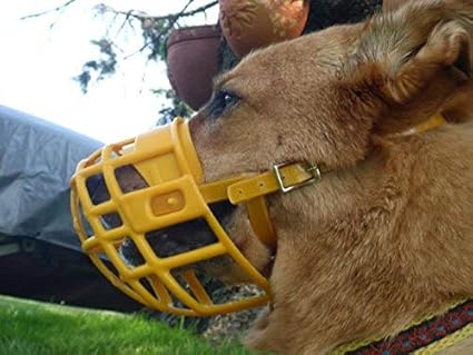 birdwell enterprises muzzles