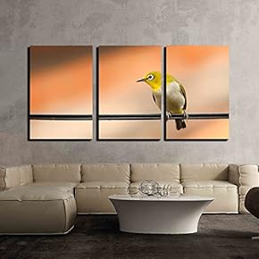 3 Piece Canvas Wall Art - a Bird Standing on The Wire - Modern Home Art Stretched and Framed Ready to Hang - 16"x24"x3 Panels