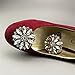 Ruihfas 2Pcs Elegant Crystal Shoe Clips Decorative Rhinestone Flower Clutch Dress Hat Shoes Decoration for Wedding Party