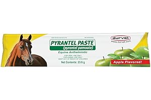 Durvet Pyrantel Paste Dewormer - 1200 lbs