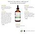 Retinol Serum 2.5% with Hyaluronic Acid & Vitamin E, C for Face, Acne Scars, Dark Spots by Kate Blanc. High Strength Anti-Aging Topical Facial Serum Without a Prescription. Organic Ingredients (1 oz)