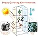 Fdit Transparent Winter Plant Green House Cover for Yard Garden Plant (27.17 x 19.27 x 62.99 inch)