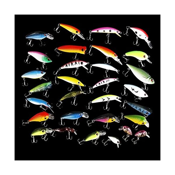 APG-30pcs-3D-Eyes-Bright-Color-Crankbait-Assorted-Fishing-Lures-Spinner-Baits-Fish-Hooks-Tackle