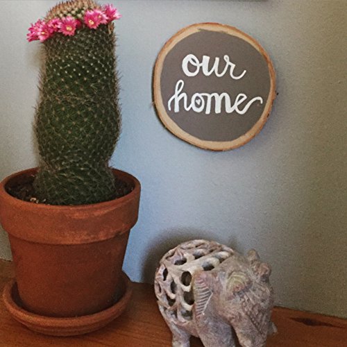 Uchida 480-C-0 Marvy Broad Point Tip Regular Bistro Chalk Marker, White