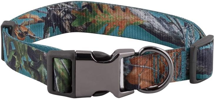 boxer breeders yorkshire