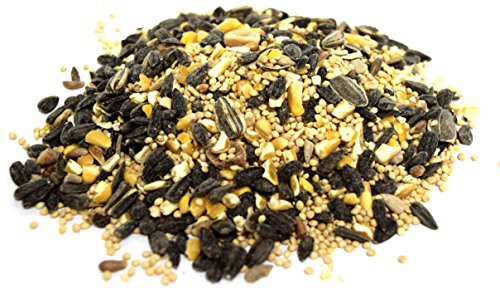 Lyric Wild Bird Mix - 5 lb. bag
