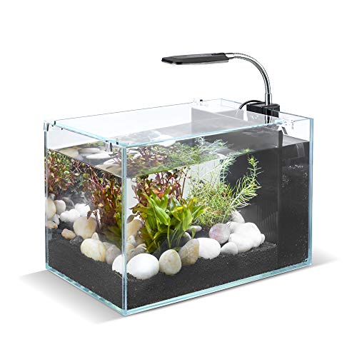 DaToo 5 Gallon Aquarium Betta Fish Tank with Low Iron Glass LED Light and Filter System
